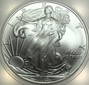 USA 1 dolar dollar 2010 American Silver Eagle uncja 1 oz SREBRO