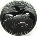 20 zł złotych 2007 Foka Szara Foki SREBRO