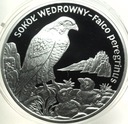 20 zł złotych 2008 Sokół Wędrowny SREBRO