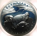 20 zł złotych 2007 FOKA Szara Foki Zwierzęta Świata SREBRO