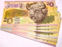 PWPW Potęga Podłoża 9 x banknot testowy ŻUBR 20 folder album