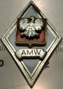 Odznaka AMW w.2 Akademia Marynarki Wojennej Gdynia MW WP III RP absolwentka