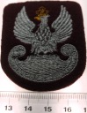 ORZEŁEK Wojska Lądowe mundurowa wojskowa RP WP haft podkład brązowy (nr 04)