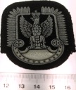 Naszywka ORZEŁEK Wojska Lotnicze mundurowa wojskowa III RP WP guma (nr 05)