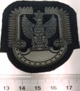 Naszywka ORZEŁEK Wojska Lotnicze mundurowa wojskowa III RP WP guma (nr 07)