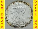 1 oz / uncja One Silver Dollar 1998, patyna