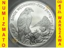 20 zł złotych 2008 Sokół Wędrowny, stan L
