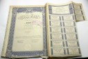 282112 Bank Polski Akcja na 100 zł 1934