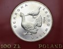 100 zł złotych 1980 PRÓBA SREBRO Głuszce Głuszec
