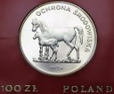 100 zł złotych 1981 PRÓBA SREBRO Koń Konie stan L-