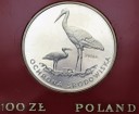 100 zł złotych 1982 PRÓBA SREBRO Bocian Bociany