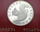 1000 zł złotych 1985 PRÓBA Ag, Wiewiórka, stan L