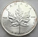 Fabulous 2007, 1 oz uncja srebra Liść Klonowy