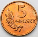 5 gr 1949, pięć groszy 1949, BRĄZ, stan 1-/1