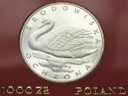 1000 zł 1984 Łabędź Ochrona Środowiska PRÓBA Ag L-