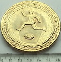 Medal WOW Warszawski Okręg Wojskowy