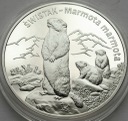 20 zł złotych 2006 Świstak stan L