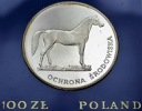 100 zł złotych 1981 Koń Ochrona Środowiska, stan L