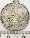Niemcy medal 1847 GROSE THEURUNG WENIG NAHRUNG