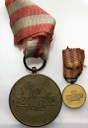 Medal Zwycięstwa i Wolności miniaturka Nadanie