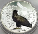 Bielik Symbole Przyrody Zwierzęta SREBRO