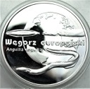 20 zł złotych 2003 Węgorz Europejski PIĘKNY