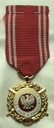Medal Siły Zbrojne W Służbie Ojczyzny