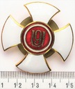 Odznaka 9 Pułk Ułanów Małopolskich