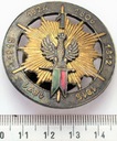 Odznaka 1 Pułk Strzelców Konnych