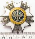 Odznaka 10 Pułk Strzelców Konnych
