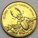 2 zł, złote 1997 Jelonek Rogacz