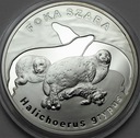20 zł złotych 2007 Foka Szara PIĘKNA POŁYSK