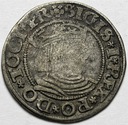 Grosz gdański 1531- Zygmunt I Stary