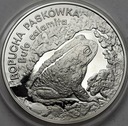 20 zł złotych 1998 Ropucha Paskówka PIĘKNA POŁYSK