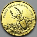 2 zł, złote 1997 Jelonek Rogacz POŁYSK POLECAMY