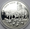 20 zł złotych 1999, Wilk Wilki