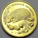 2 zł, złote 1996 Jeż Jeże POŁYSK POLECAMY