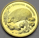 2 zł, złote 1996 Jeż Jeże POŁYSK POLECAMY