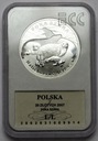 20 zł złotych 2007 Foka Szara stan L