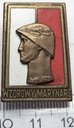 Odznaka Wzorowy Marynarz