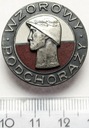Odznaka Wzorowy Podchorąży