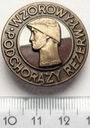 Odznaka Wzorowy Podchorąży Rezerwy