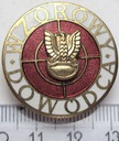 Odznaka Wzorowy Dowódca