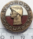 Odznaka Wzorowy Podchorąży