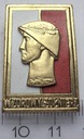 Odznaka Wzorowy Żołnierz