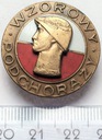 Odznaka Wzorowy Podchorąży
