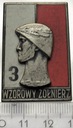 Odznaka Wzorowy Żołnierz stopień 3