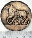 Medal Francja La Societe Dagriculture de Provins