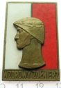 Odznaka DUŻA Wzorowy Żołnierz