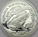 20 zł złotych 1998 Ropucha Paskówka POŁYSK